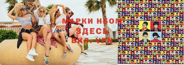 сатива Ростов