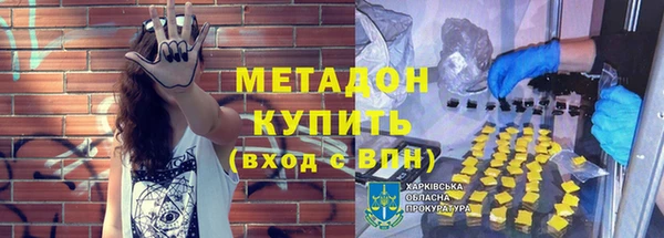 сатива Ростов