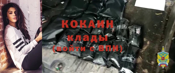 сатива Ростов