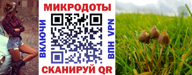 Галлюциногенные грибы мухоморы  наркошоп  Ак-Довурак 